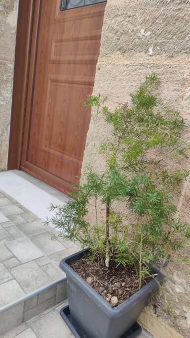 Heliophilia Malona Βίλα Μάλονα Village Εξωτερικό φωτογραφία
